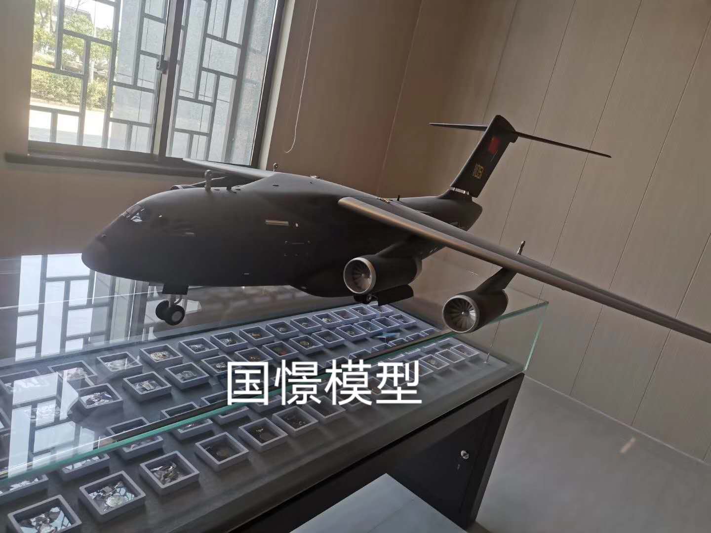 泾阳县飞机模型