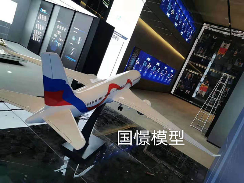 泾阳县飞机模型